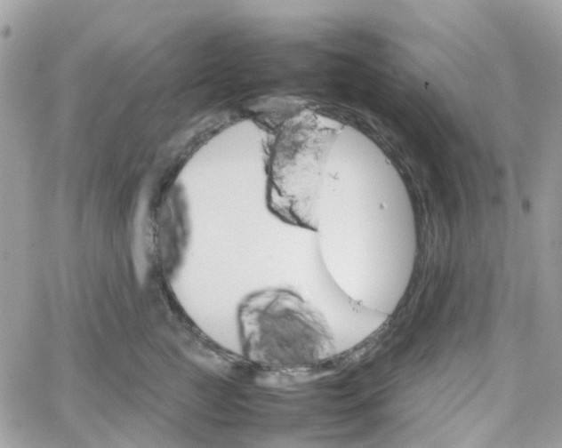 X0000066080761200603241432