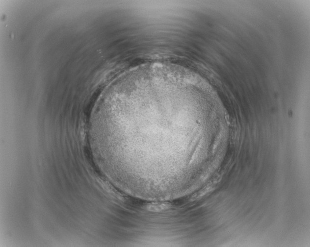 X0000066080762200603241432