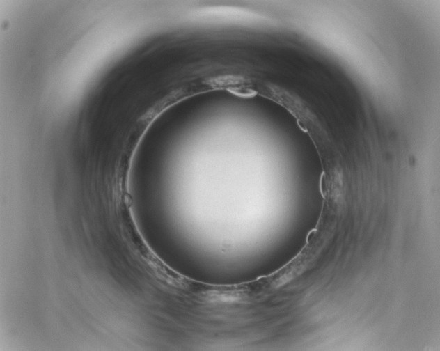 X0000066080763200603241432