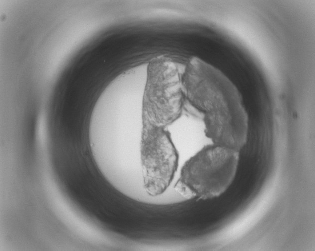 X0000066080765200603241432