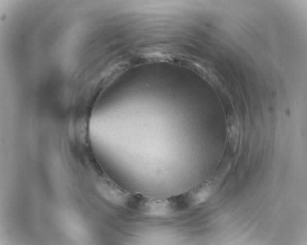 X0000066080767200603241432