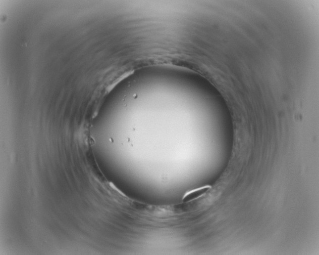 X0000066080768200603241432