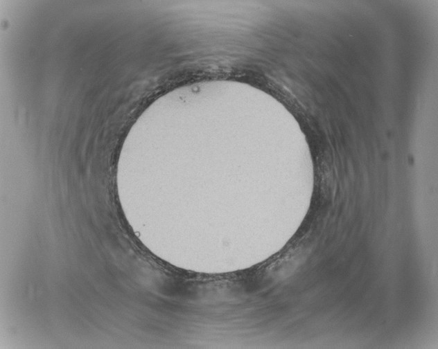 X0000066080769200603241431