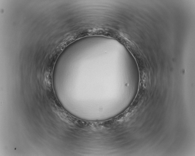 X0000066080770200603241431