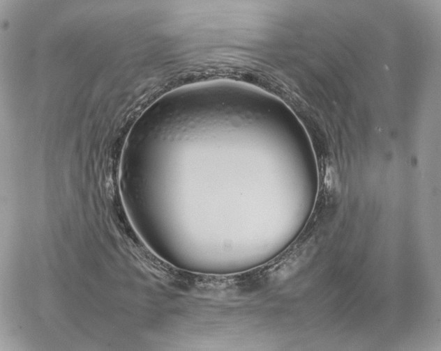 X0000066080771200603241431