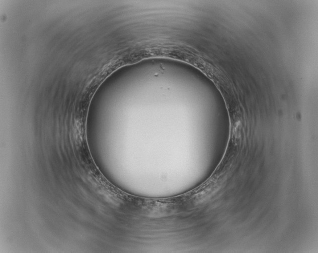 X0000066080772200603241431