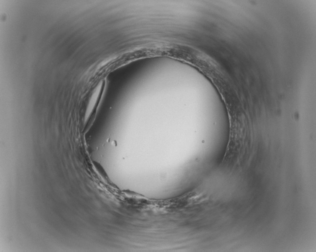 X0000066080773200603241431