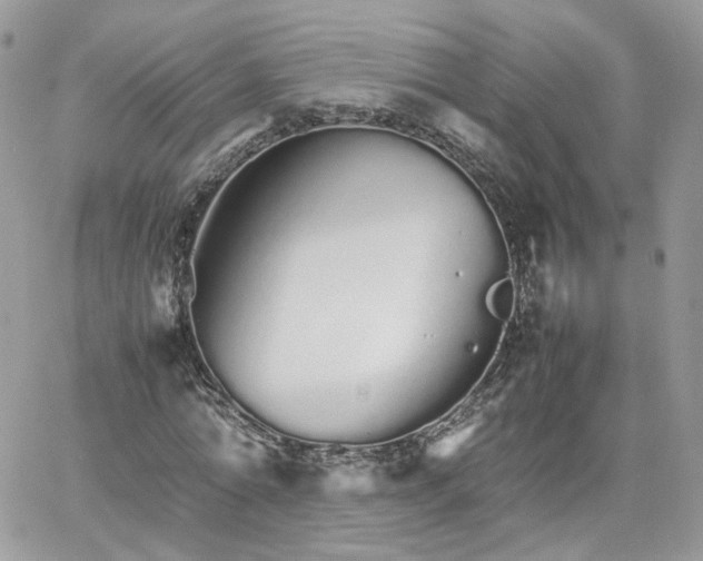 X0000066080774200603241431