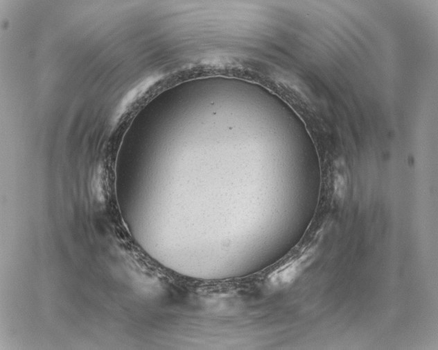 X0000066080776200603241431