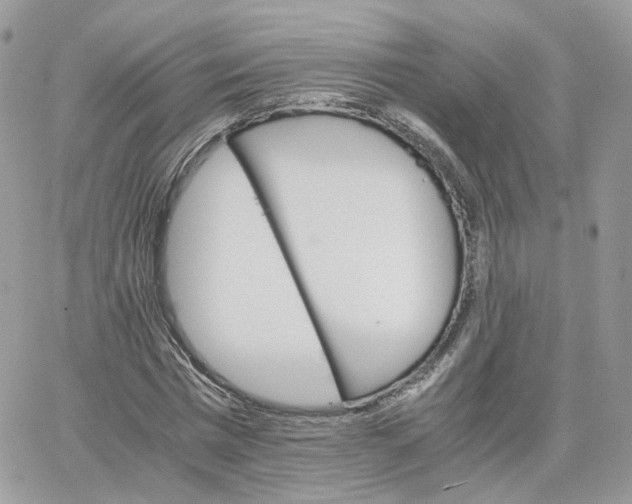 X0000066080777200603241431