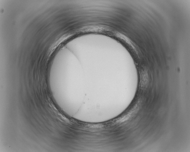 X0000066080778200603241431