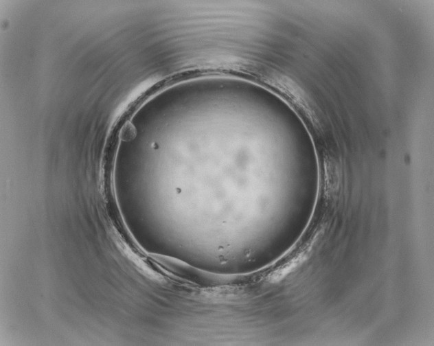 X0000066080780200603241431