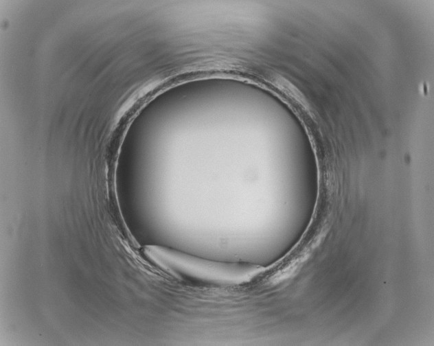 X0000066080781200603241431