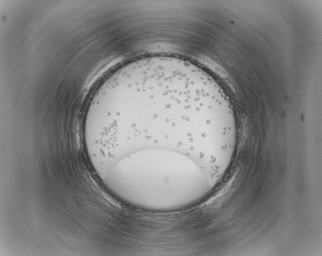 X0000066080782200603241431