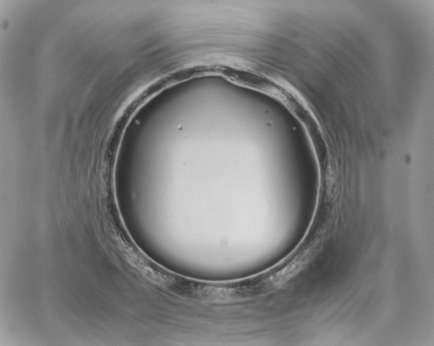 X0000066080783200603241431