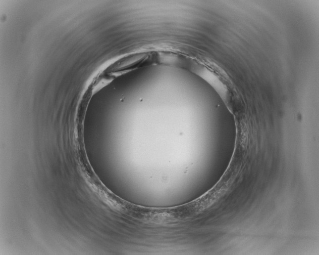 X0000066080784200603241431