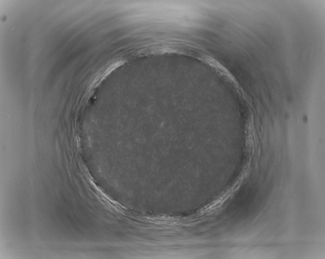 X0000066080785200603241431