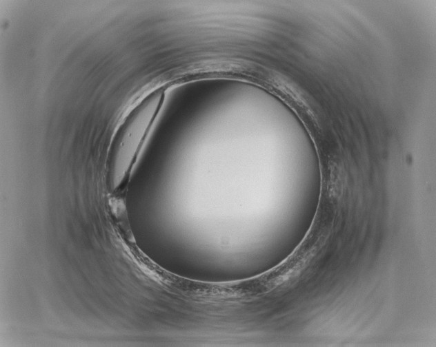 X0000066080786200603241431