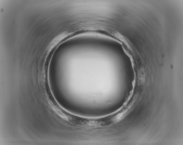 X0000066080787200603241431