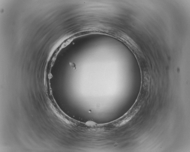 X0000066080788200603241431