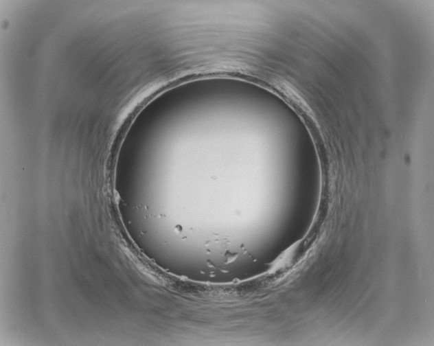 X0000066080789200603241431