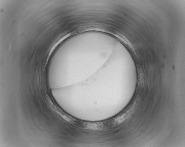 X0000066080790200603241431