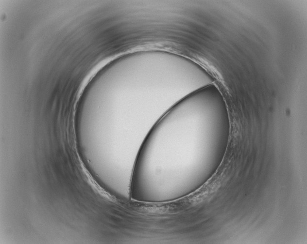 X0000066080792200603241430