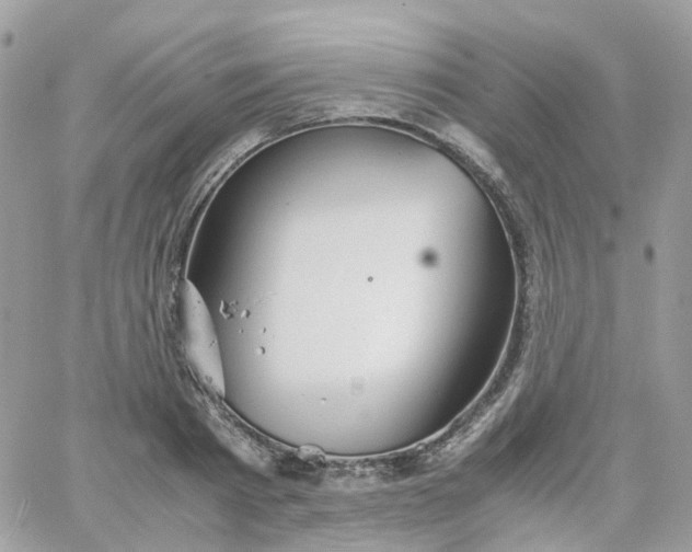 X0000066080793200603241430