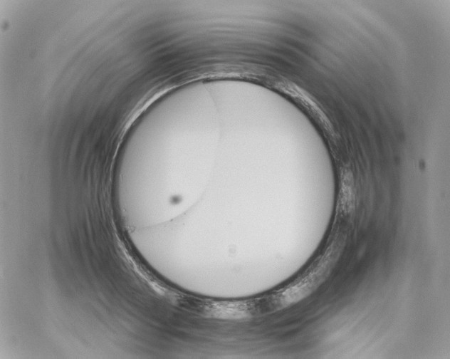 X0000066080794200603241430