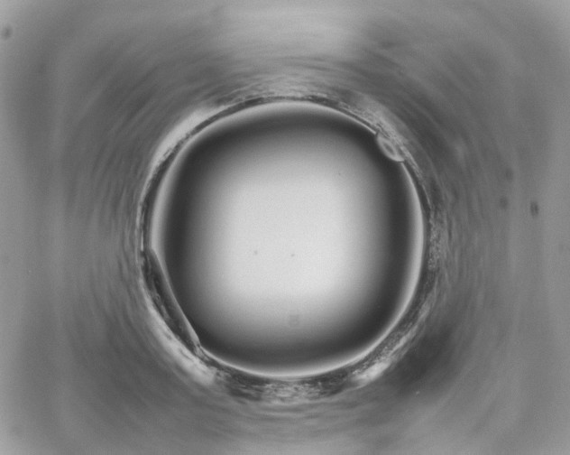 X0000066080795200603241430