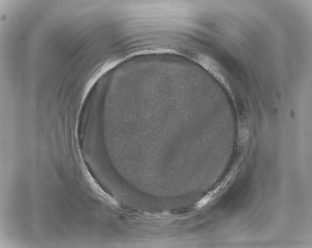 X0000066080797200603241430