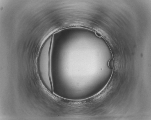 X0000066080798200603241430