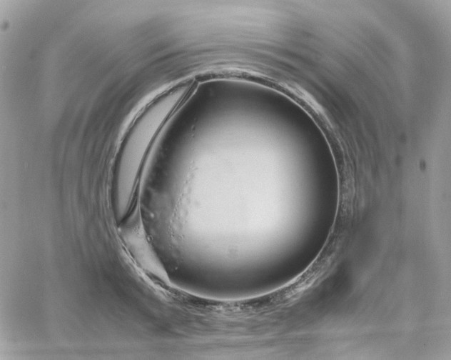 X0000066080799200603241430