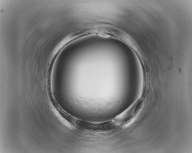 X0000066080803200603241430