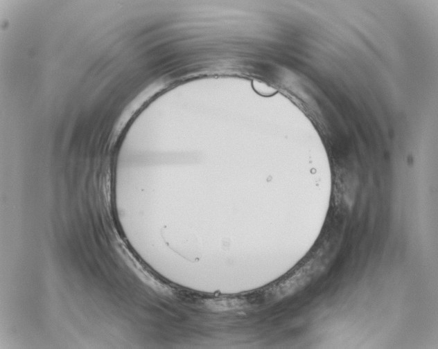 X0000066080804200603241430