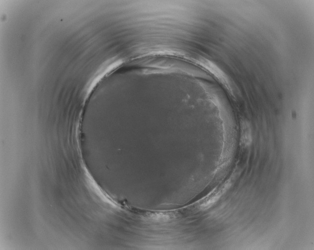 X0000066080806200603241430