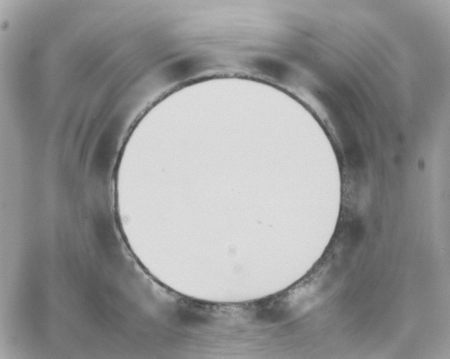 X0000066080807200603241430