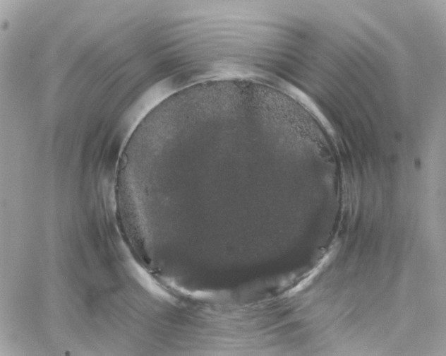 X0000066080810200603241430