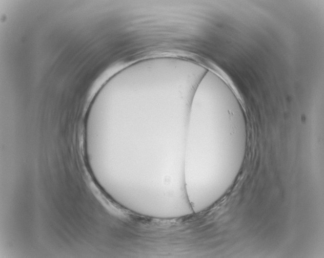 X0000066080811200603241430