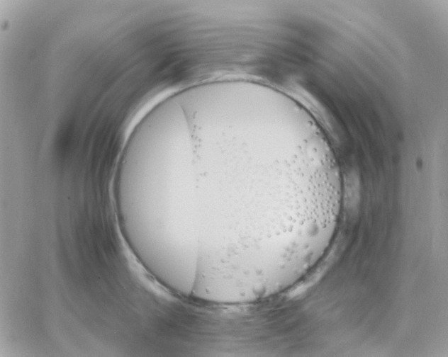 X0000066080814200603241430