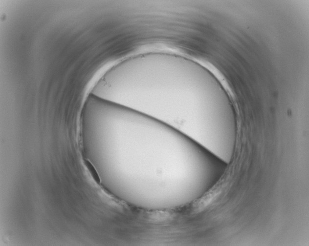 X0000066080815200603241430