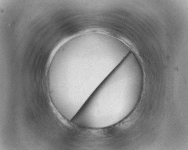 X0000066080816200603241430