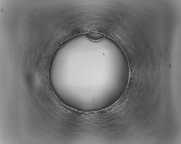 X0000066080817200603241429