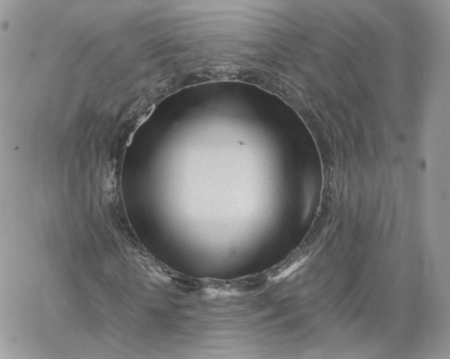 X0000066080818200603241429