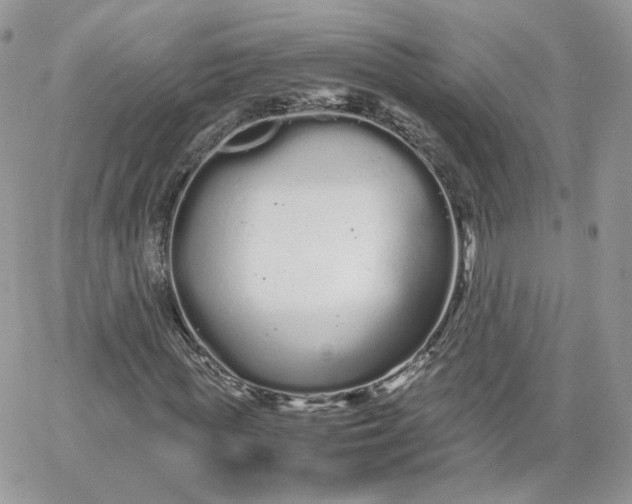 X0000066080819200603241429