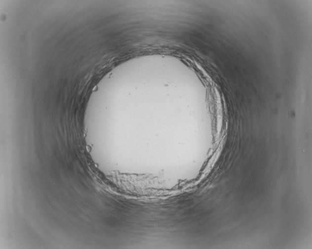 X0000066080820200603241429