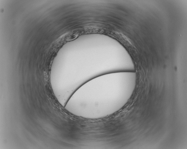 X0000066080821200603241429