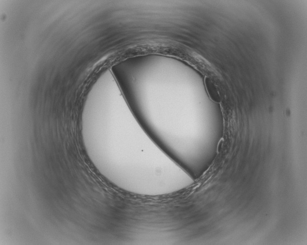 X0000066080822200603241429