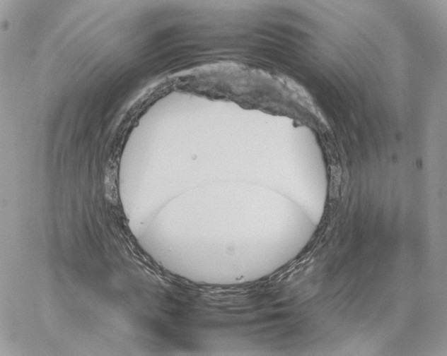 X0000066080823200603241429