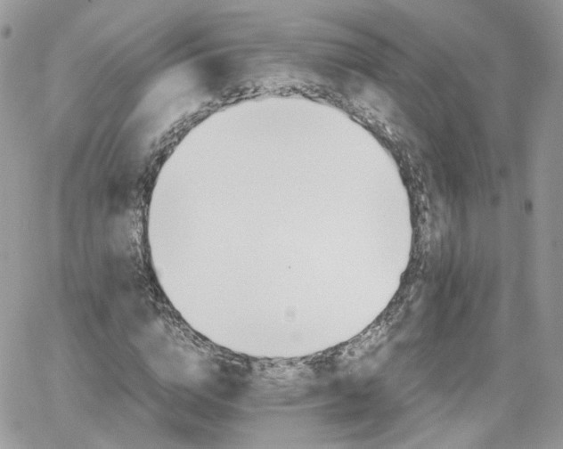 X0000066080824200603241429